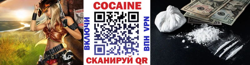 Купить закладки  Саянск  Cocaine Fish Scale 