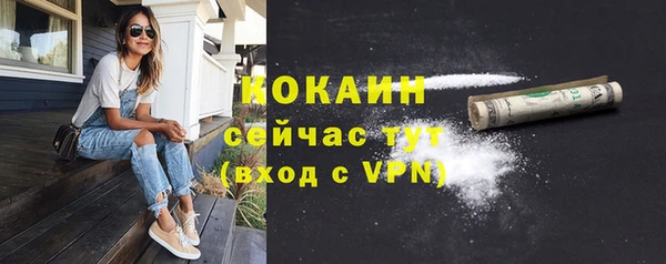 ECSTASY Костерёво