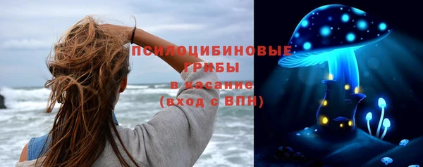 соль ск Корсаков