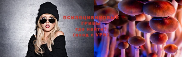 тгк Коряжма