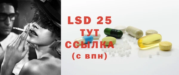 ECSTASY Костерёво